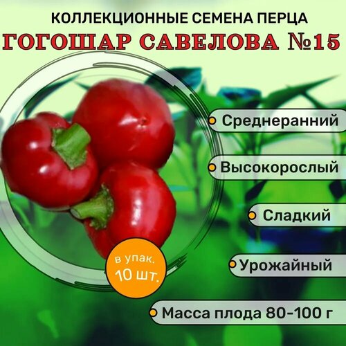 ���� ������������� ������ ����� �������� ������� �������� �15, ������ �� 102 ���