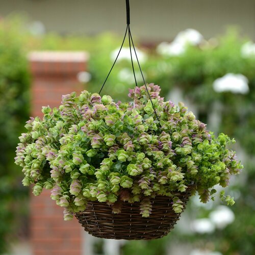 ���� ������� ������������ ��������, ������ �������������, ��������� ������-����������� ����������� ��������� ����� � ������� ������, 3 �����, ������ �� 314 ���