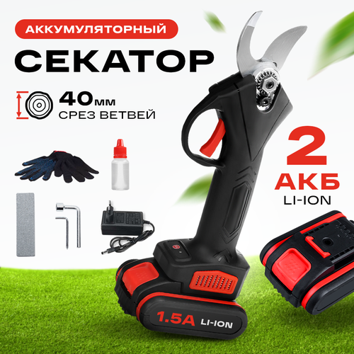 ���� ������� �������������� ������� ������, � 2 ���, � ������ � ����������, �������������� ������� �������, ������ �� 5000 ���