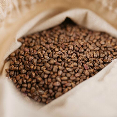 ���� ������ ��������� ��������� ����� ������������ �������������, 5 ����� (�������� 130 ��), ������ �� 770 ���