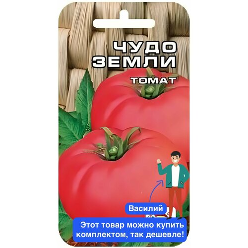 ���� ������ ������ ��������� ��� 