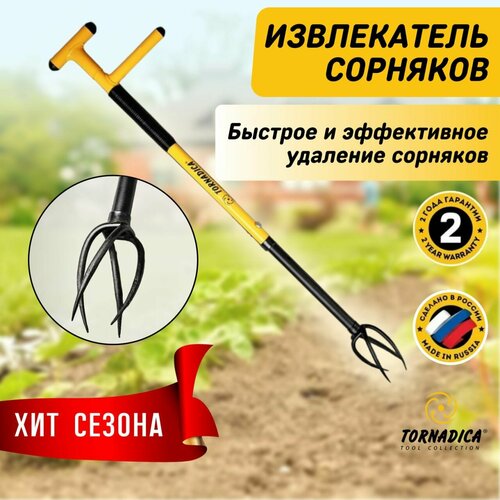 ���� ����������� �������� ��������� (�������) ��� �������� � ������������ �������� ��������, ��������������, ������ �� 1550 ���