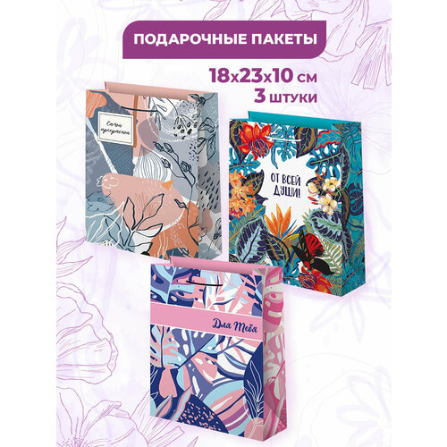 ���� ���������� ����� ��� �������, �������, ���� 