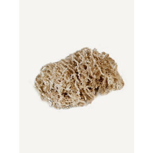 ���� ������� �������� ����������� 50�, ��������, ��������. �������, �������� �������, ��� �����������, ������ �� 190 ���