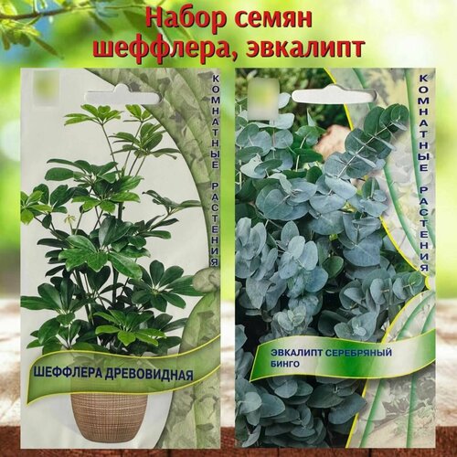 ���� ������ ��������� �������� �������� � �������� 2 ��������, ������ �� 336 ���