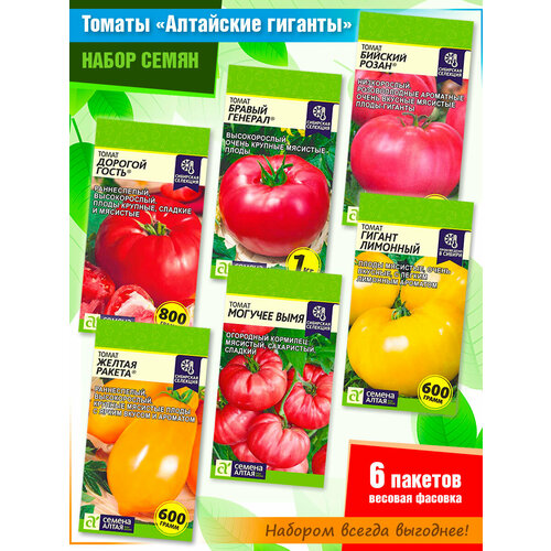 ���� ����� ����� ������� 