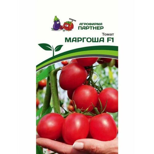 ���� ������ ������ 