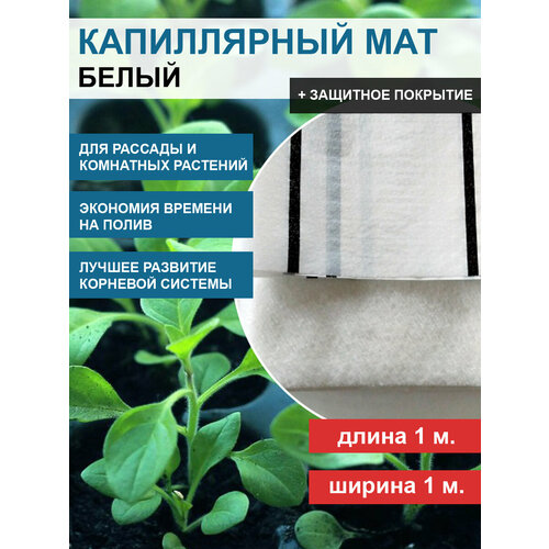 ���� ����������� ��� VIVAPOL � �������� ��������� Aquafol 1 �. �. ����������� ����������, ������ �� 614 ���