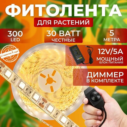 ���� ��������� ��� ����������� �������� ������� ��������� ������ ������ ������ ��������� ����� �������� ������������ ���������� 300 LED 30 ���� 5 ������, ������ - ����������� �������, ������ �� 3060 ���