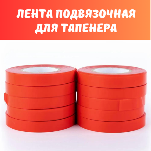 ���� ����� ��� �������� 10 ����, ������ �� 400 ���