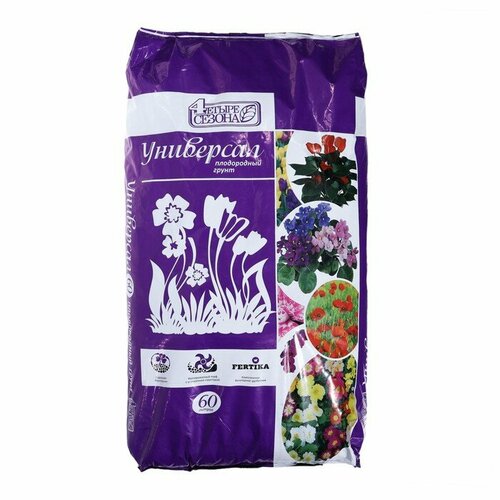 ���� ���������� ����������� ������ ������ 