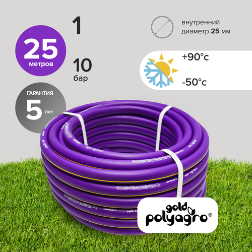 ���� ����� ���������� 1