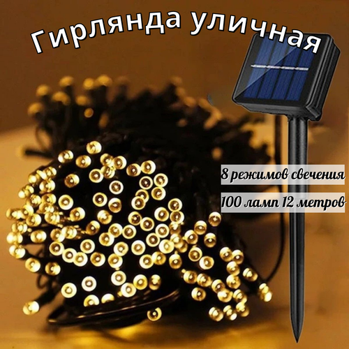 ���� ������������ �������� ������� �� ��������� ������� 100 ���� 12 ������ 8 �������, ������ �� 970 ���