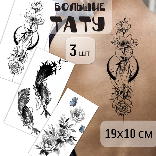 ���� ����� ������� ���������� ���� 3 ����� (19�10 ��). ���������, ������ �� 299 ���