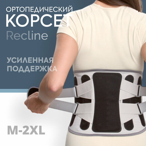 ���� ������ �������������� ���������-����������, ������ ��� �����, ����������� ����, ��������� ����� �������� � �����: �����-������, �.2XL, ������ �� 1799 ���