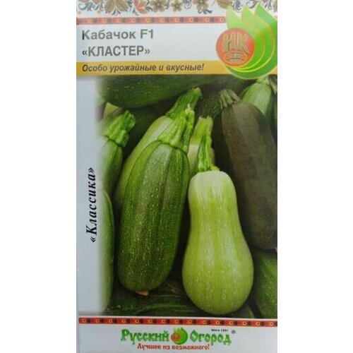 ���� ������ ������� ������� F1 10�� ������ ����� (������� ������), ������ �� 42 ���