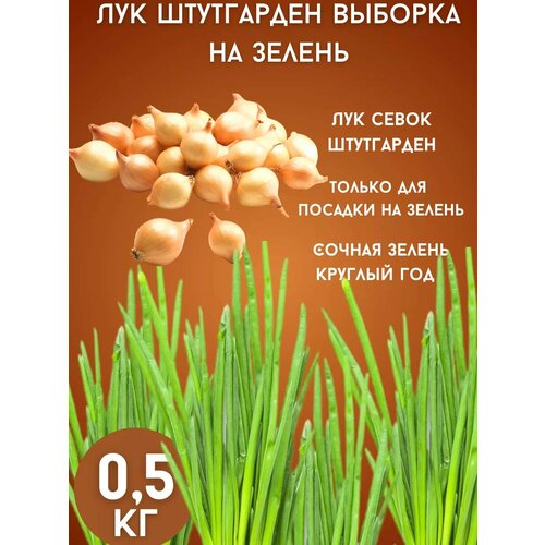 ���� ��� ���������� �� ������ 0,5��, ������ �� 250 ���