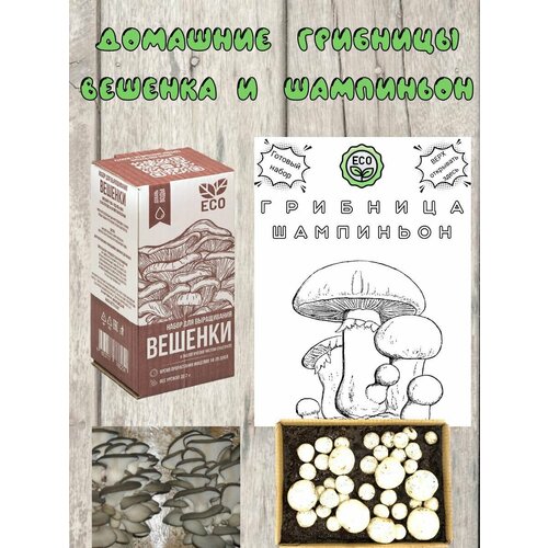 ���� ������ ��� ����������� ������ ������� � ����������, ������ �� 529 ���