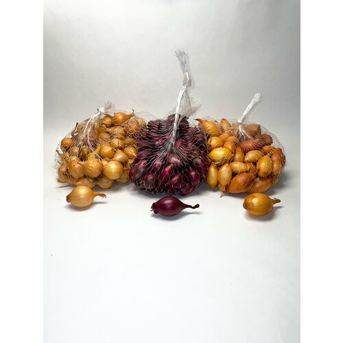   -   10/21 (0,25 ),   8/21 (0,25 )   10/21 (0,25 ),   536 