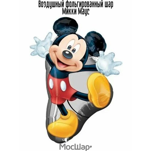 ���� ��������� ��� ��������������, ���������� ������ ������ ����� ����, 81 ��, ������, ������ �� 247 ���