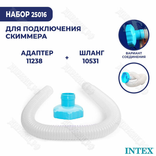      Intex 25016   -     , -, 