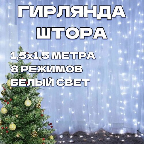 ���� �������� ����� 