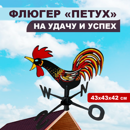 ���� ������ �� ����� ����-�������, ������ �� 3150 ���