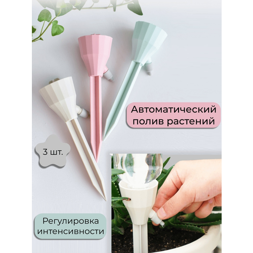 ���� ���������� ��� ���������� ������, ������ �� 560 ���