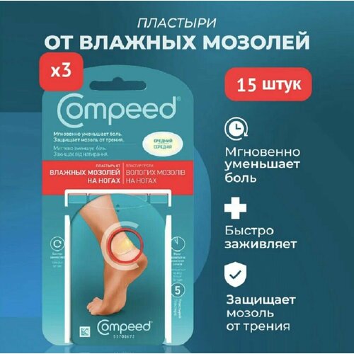 ���� �������� 