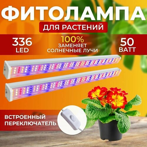        ,     ,     ,  336 LED 50    -     , -, 