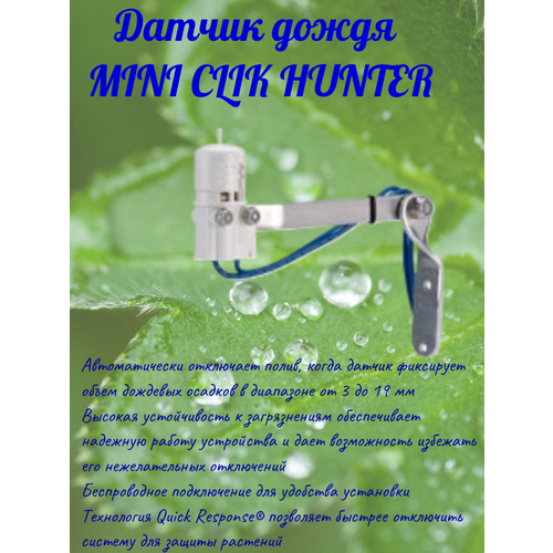    Mini Clik / HUNTER   -     , -, 