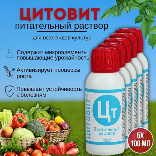 ���� ��������� ��������� ����� � �������� ��������, �������� ����� � �������������� ������� 100 ��, 5 ��, ������ �� 2199 ���