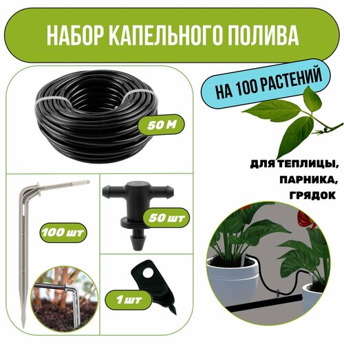 ���� ����� ���������� ������ �� 100 �������� ��� �������, �������, ������, ������ �� 2550 ���