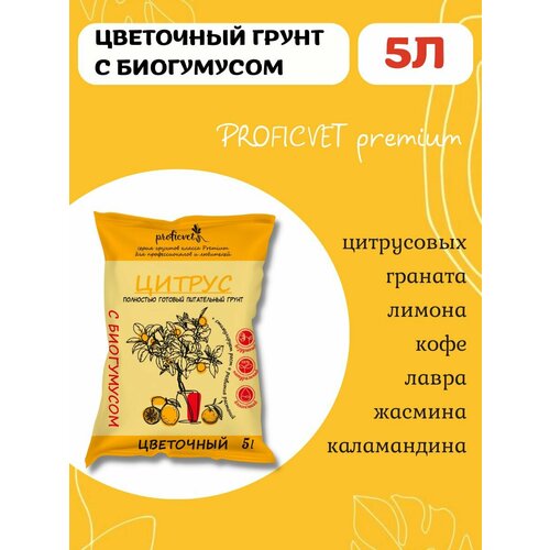 ���� ����� ����� ��� ���������� ����������� 