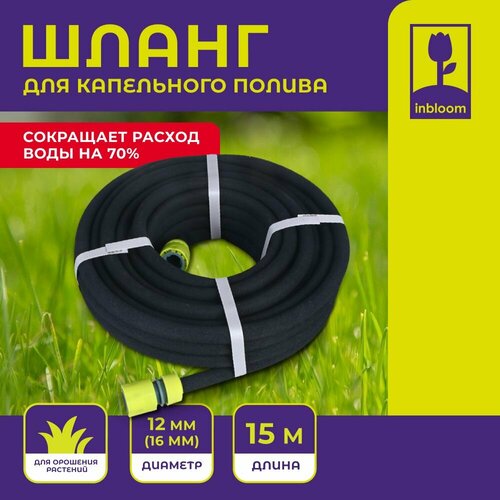 ���� ����� ��������� Inbloom ��� ���������� ������ �������� 15� x 12�� (16��), ������ �� 1093 ���