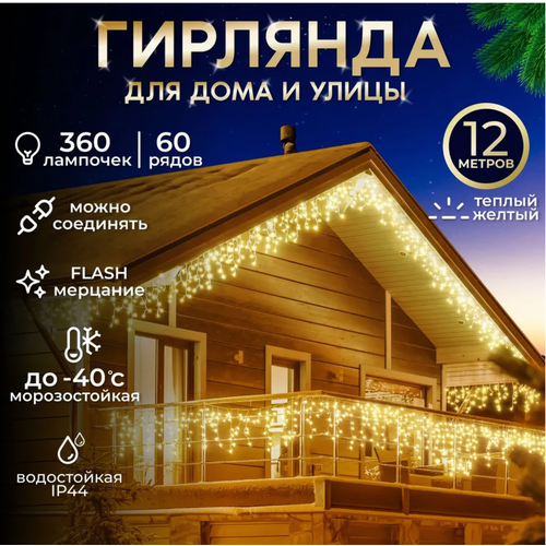 ���� ��������������� ������� �������, ������� �����, 12 ������, ������ �� 1590 ���