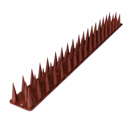 ���� ���� �� ���� � �������� 