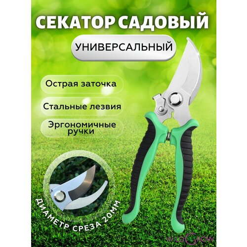 ���� W-GROW ������� ������� ��� ����, ������, ������ � ��������, ������ �� 503 ���