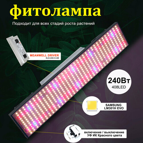 ���� ���������� ��� �������� 