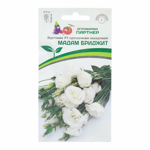 ���� ������ ������� ��������� �������� 