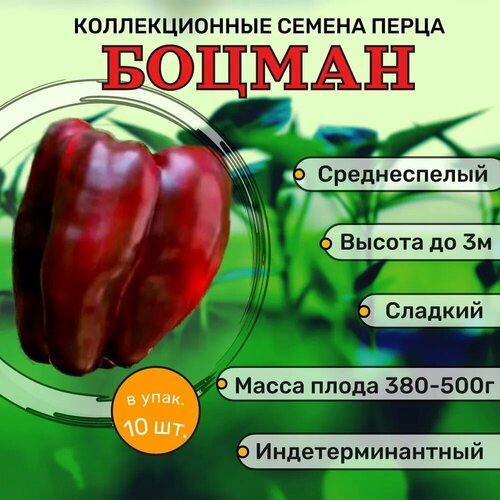 ���� ������������� ������ ����� �������� ������, ������ �� 122 ���