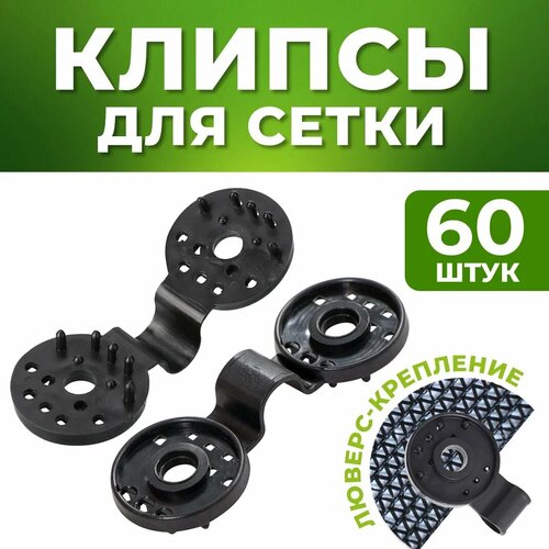 ���� ������ ��� ����� 