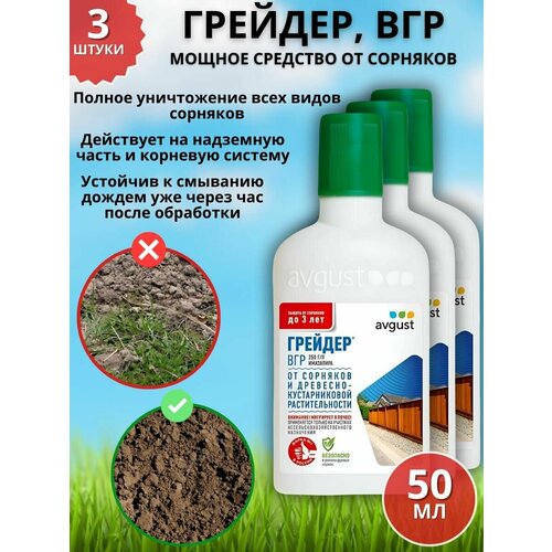 ���� ������ �������� �������� �� �������� �������, ��� 50 �� 3 ��, ������ �� 1700 ���