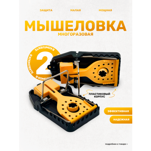     ,   , , , /, 2 ,   299 