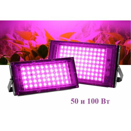 ���� ���������� ��� �������� 50�� ���������, ������ �� 850 ���