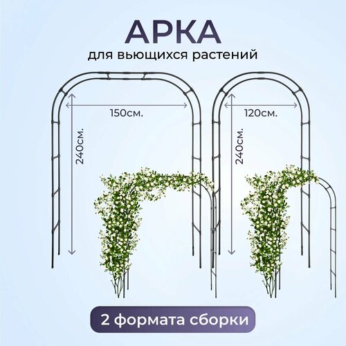 ���� ���� ��� ������ �������, ����� ��� ������, ���� ��� �������� (����� - 195�230�38) - (����� - 240�140�38), ������ �� 2323 ���