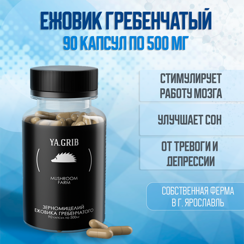 ���� ������� �����. YA.GRIB. ������ ����������� (������ �����������). ���� �������. �������. �������� ���� 90 ������ �� 500 ��, ������ �� 1029 ���