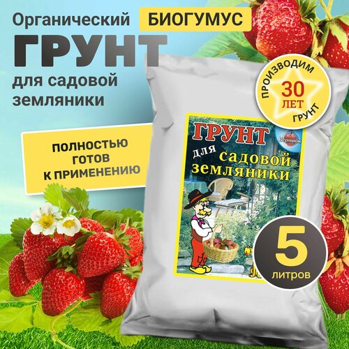 ���� ����� ��� ������� �������� � ��������� ������� � �������� � ���������� 