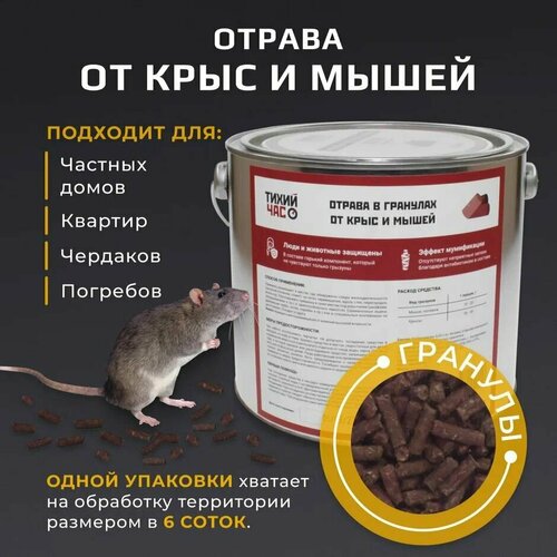 ���� �������� �� �������� ����� ��� � �������� 1300��, ������ �� 910 ���