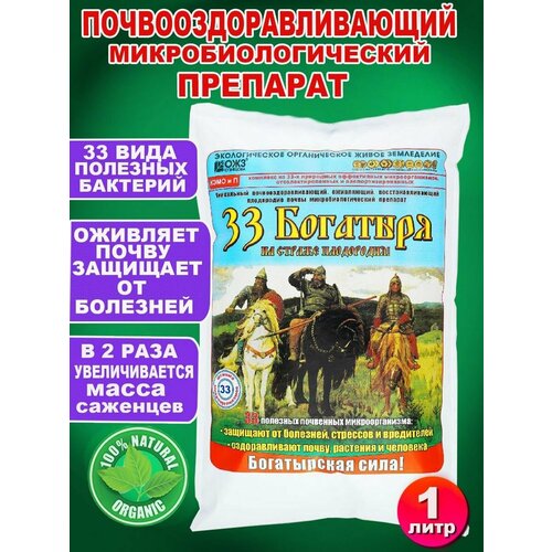 ���� 33 �������� �������������������� ������������������ ��������, 1�, ������ �� 310 ���